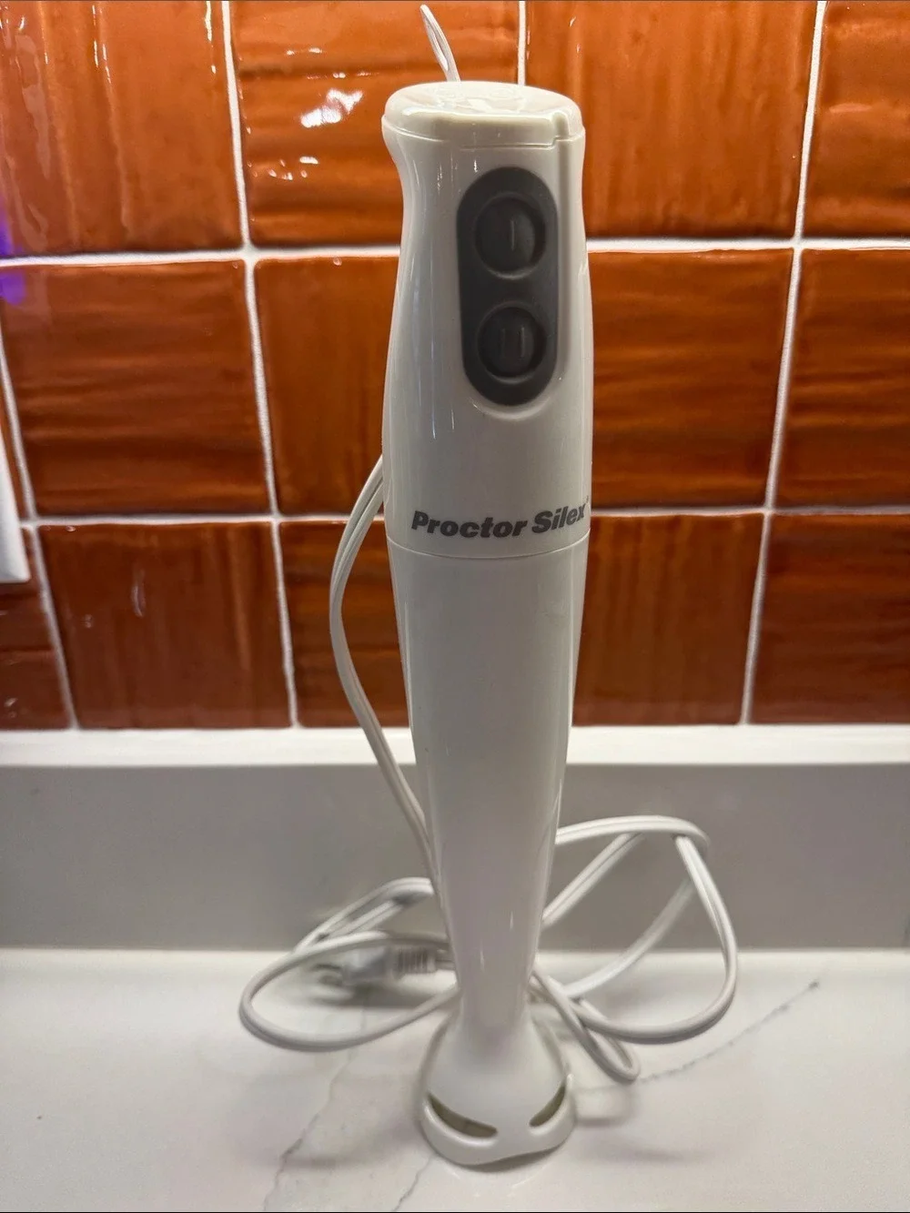 Proctor Silex White 2-Speed Immersion Hand Blender Model 59738 Like new